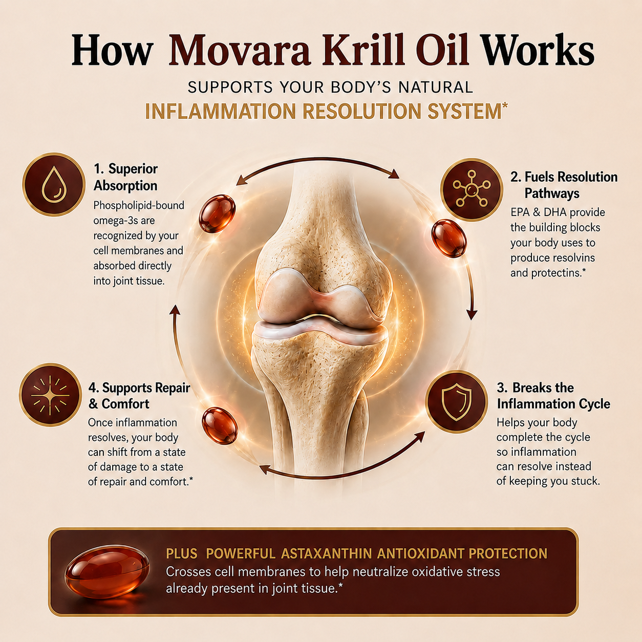 Movara Krill Oil